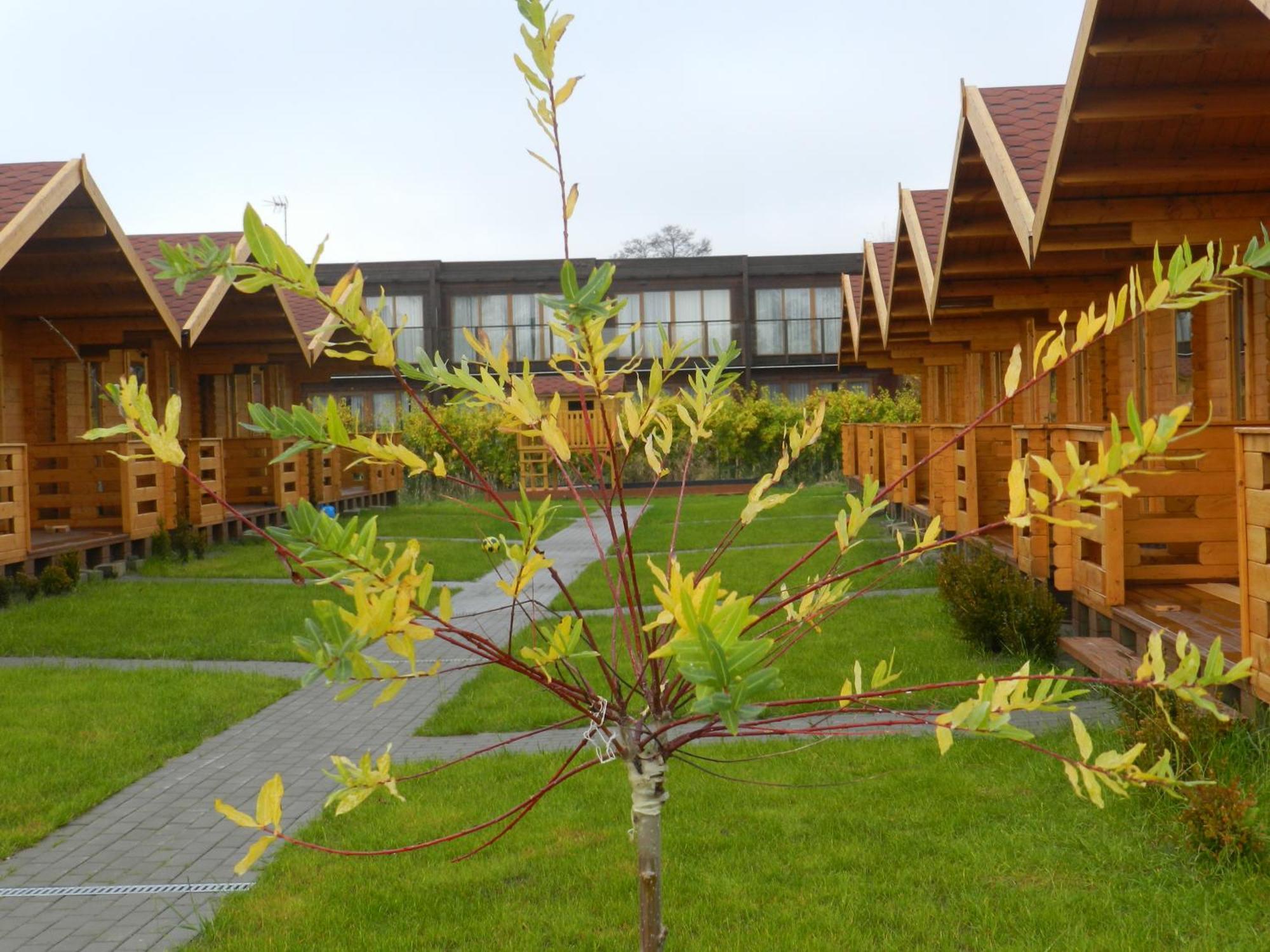Domki U Szostakow Dąbki Exterior photo
